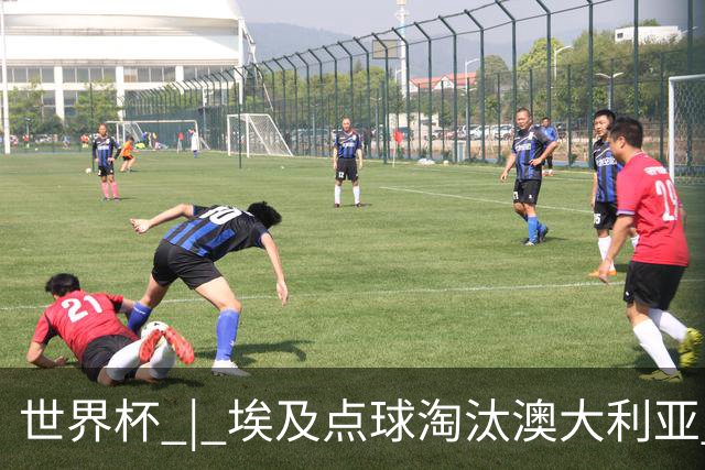 世界杯 | 埃及点球淘汰澳大利亚 亚洲区球队全部出局